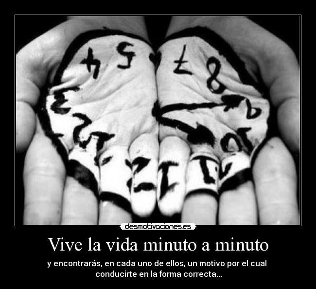 Vive la vida minuto a minuto - 