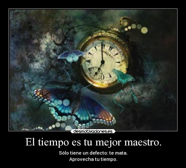 El tiempo es tu mejor maestro. -