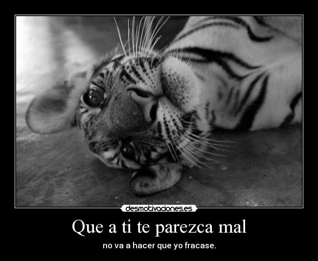 Que a ti te parezca mal - no va a hacer que yo fracase.