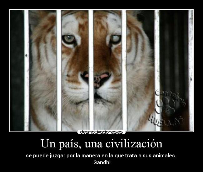 Un país, una civilización -