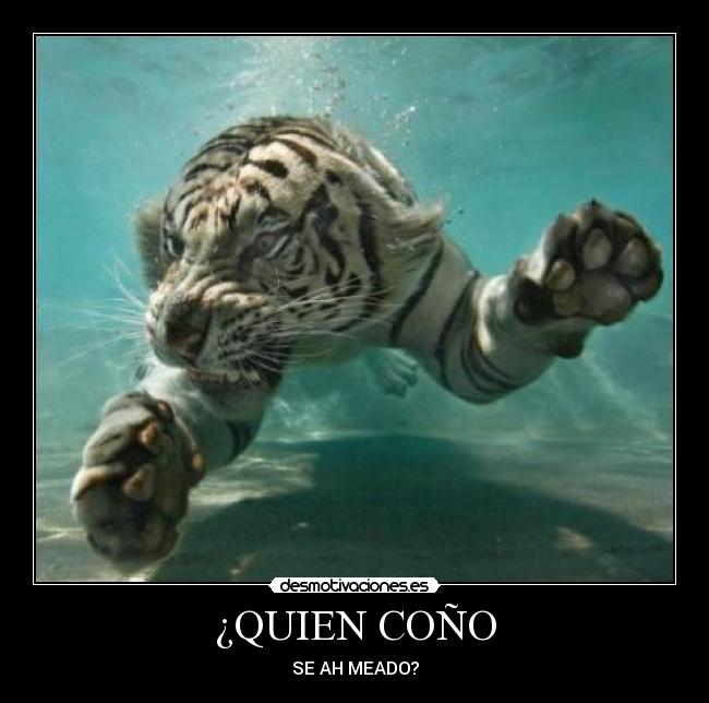 ¿QUIEN COÑO - 