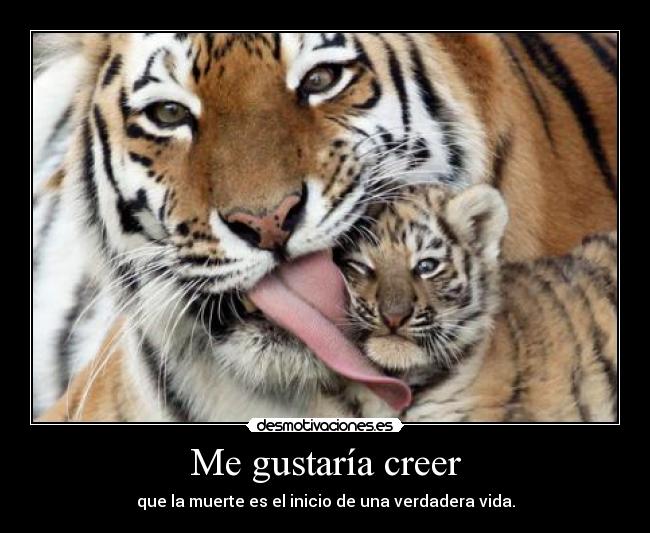 Me gustaría creer -