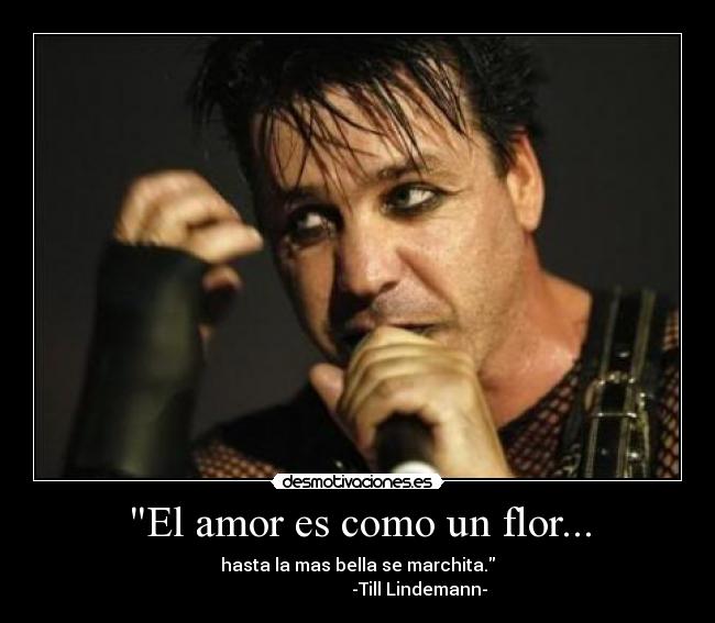 El amor es como un flor... - hasta la mas bella se marchita.
                            -Till Lindemann-