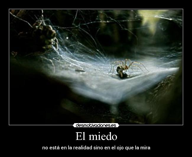 El miedo - no está en la realidad sino en el ojo que la mira