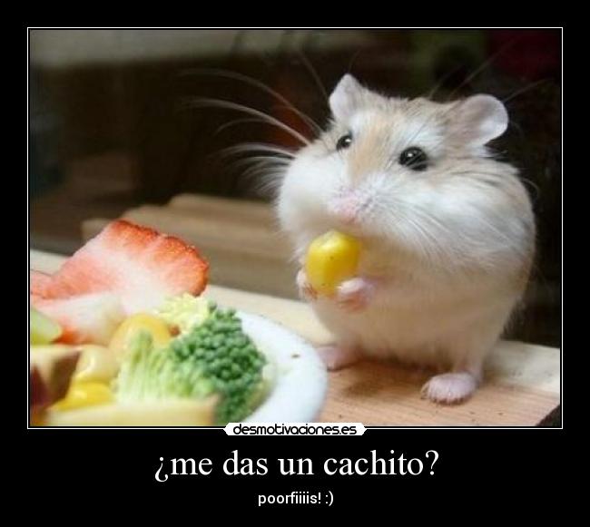 ¿me das un cachito? - poorfiiiis! :)