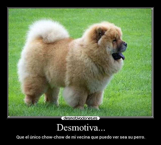 Desmotiva... - 
