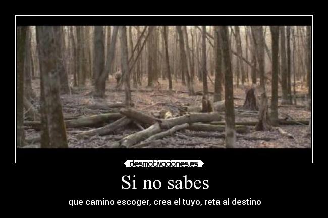 Si no sabes - que camino escoger, crea el tuyo, reta al destino