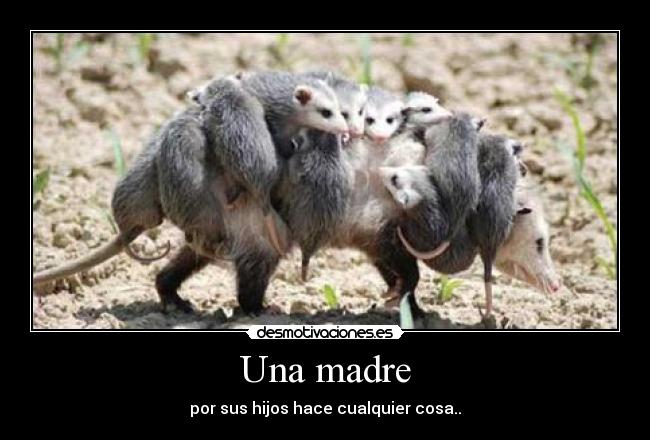 Una madre - por sus hijos hace cualquier cosa..