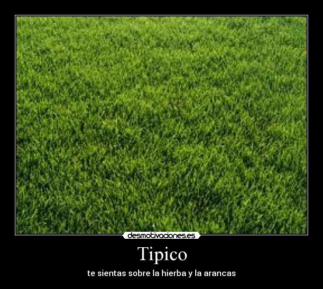 Tipico - te sientas sobre la hierba y la arancas