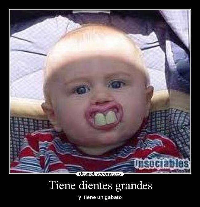 Tiene dientes grandes - y  tiene un gabato