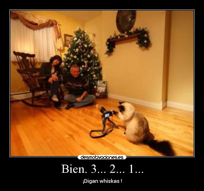 carteles lero lero resubido porque estoy aburrido desmotivaciones