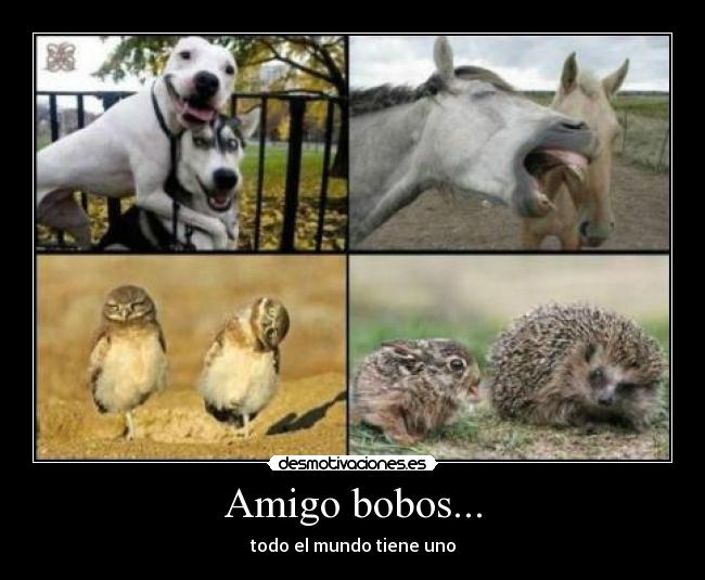 Amigo bobos... - todo el mundo tiene uno