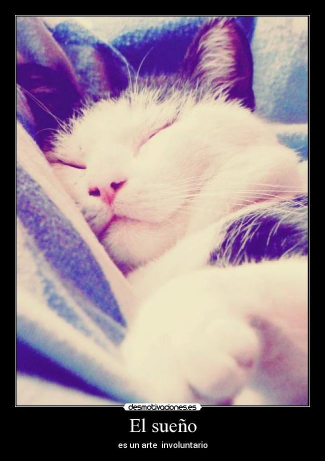 El sueño - es un arte involuntario
