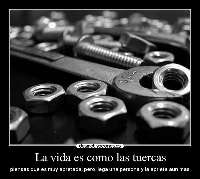 carteles vida vida tuercas apretada persona mas desmotivaciones