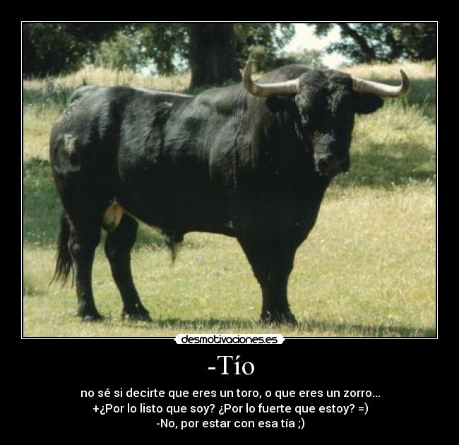 -Tío - no sé si decirte que eres un toro, o que eres un zorro...
+¿Por lo listo que soy? ¿Por lo fuerte que estoy? =)
-No, por estar con esa tía ;)