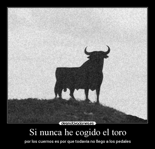 Si nunca he cogido el toro - 