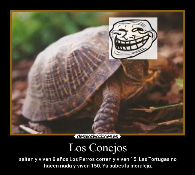 carteles jodidadistancia desmotivaciones