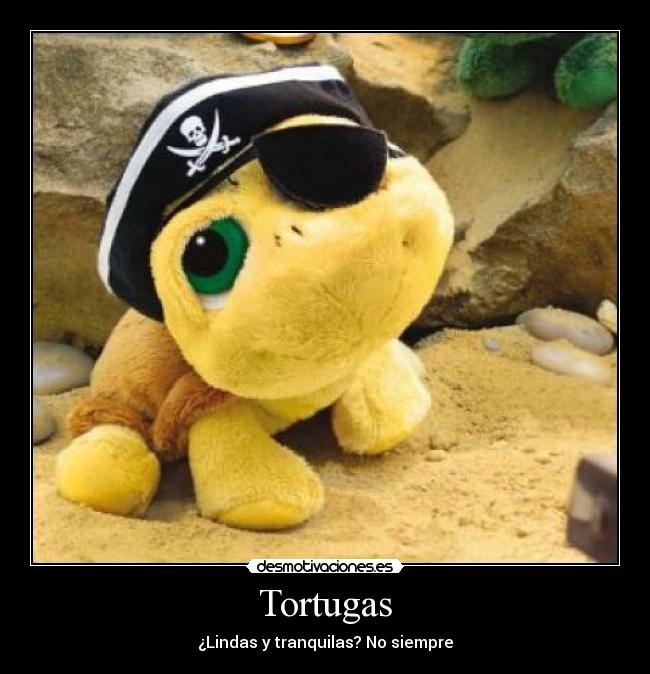 Tortugas - 