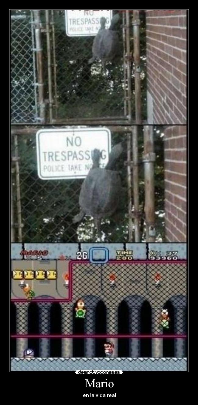 Mario - en la vida real
