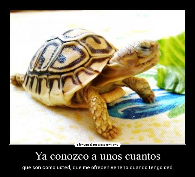 Ya conozco a unos cuantos -