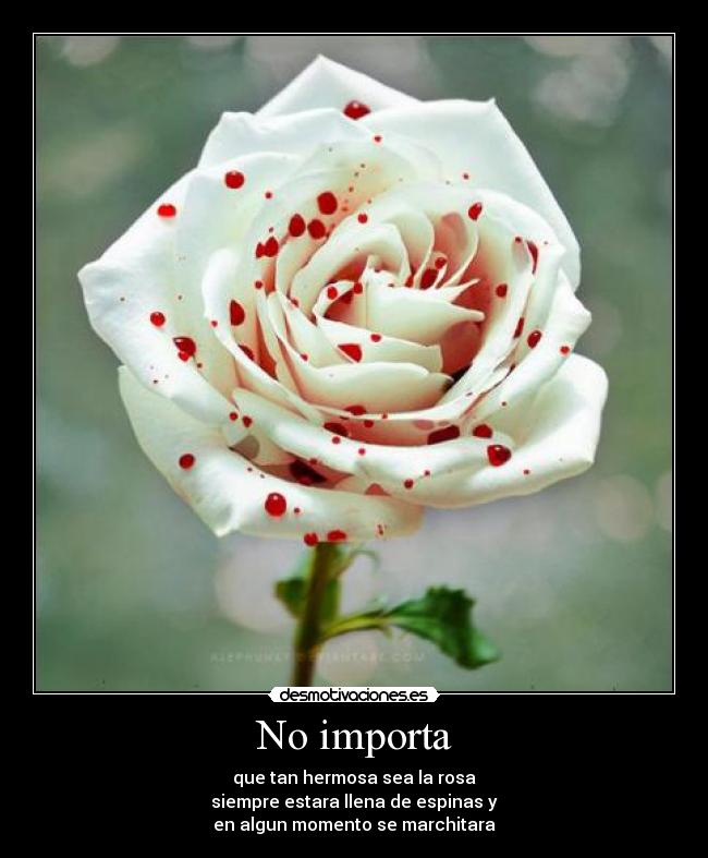No importa -