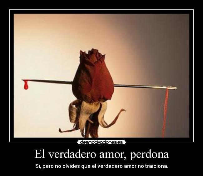 El verdadero amor, perdona - Si, pero no olvides que el verdadero amor no traiciona.
