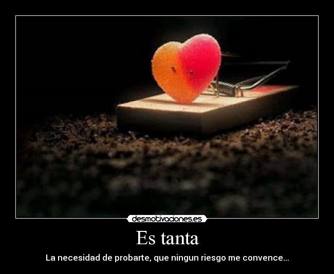 Es tanta - La necesidad de probarte, que ningun riesgo me convence...