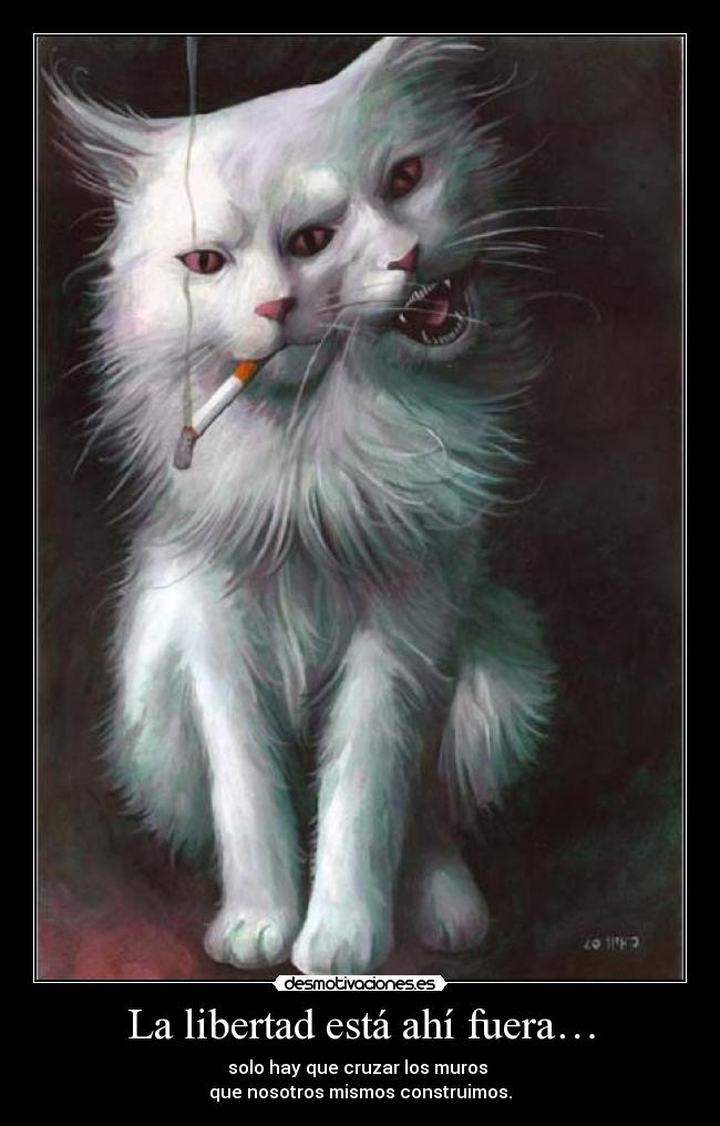 La libertad está ahí fuera… - solo hay que cruzar los muros 
que nosotros mismos construimos.
