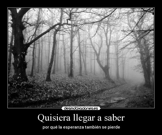 Quisiera llegar a saber -