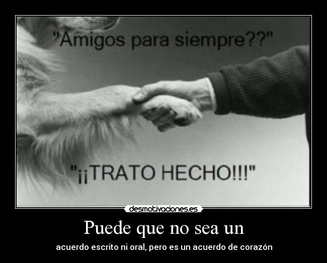 Puede que no sea un - 