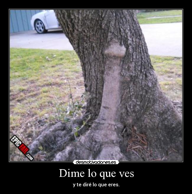 Dime lo que ves - 