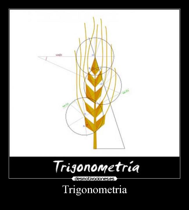 Trigonometria -