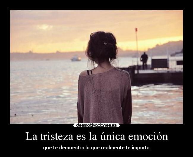 La tristeza es la única emoción -