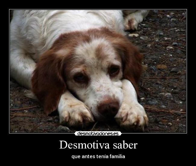 Desmotiva saber - que antes tenía familia