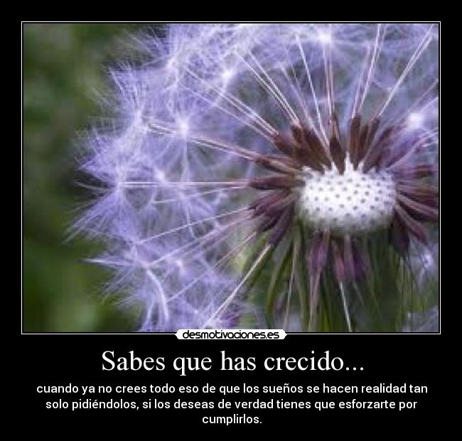 Sabes que has crecido... - 