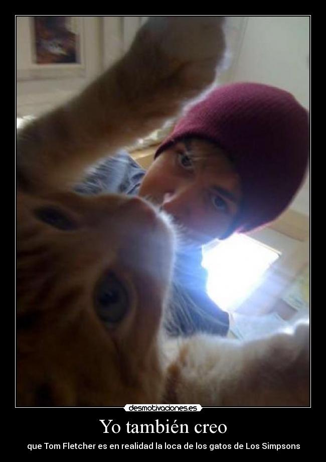Yo también creo - que Tom Fletcher es en realidad la loca de los gatos de Los Simpsons