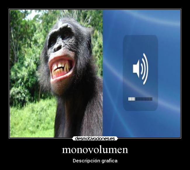 monovolumen - 