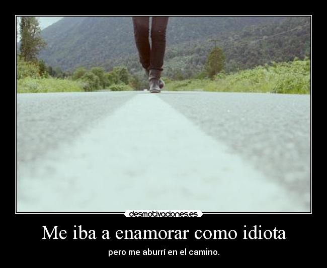 Me iba a enamorar como idiota -
