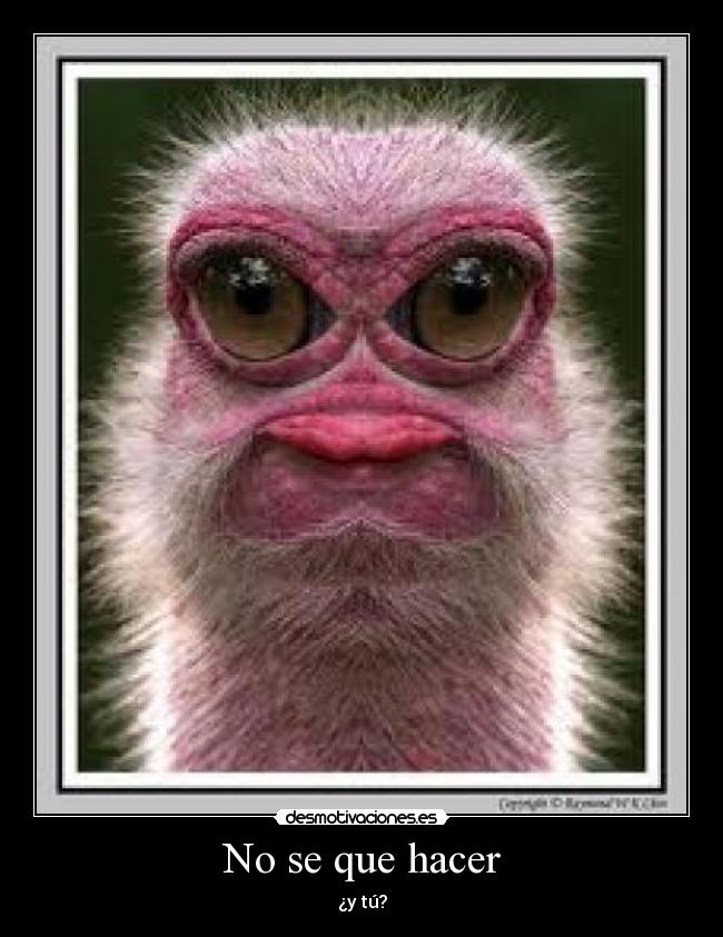 No se que hacer - 