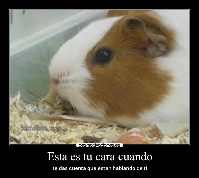 Esta es tu cara cuando - te das cuenta que estan hablando de ti