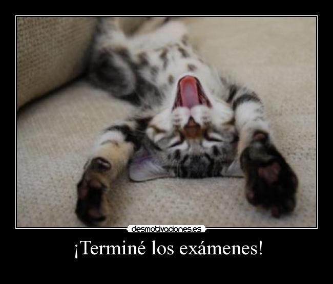 ¡Terminé los exámenes! - 
