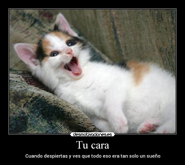 Tu cara -