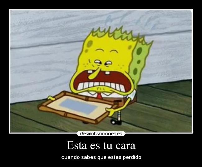 carteles bob esponja cara desmotivaciones
