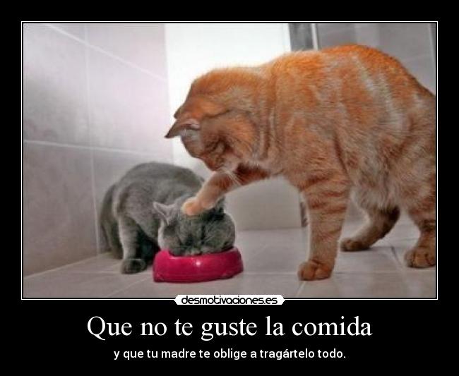 Que no te guste la comida - 