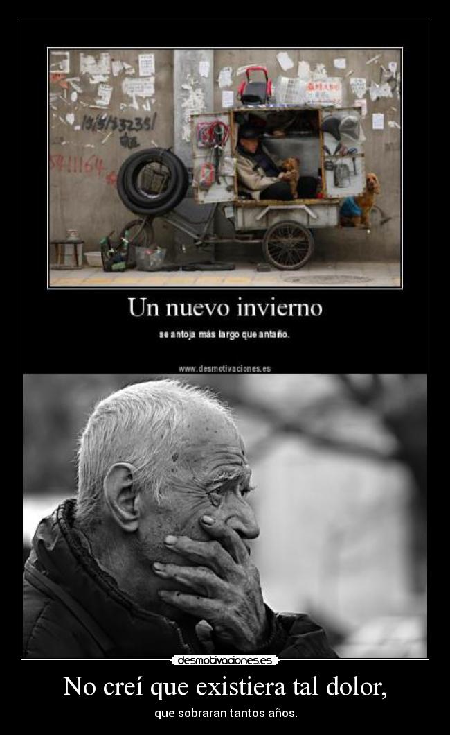 carteles dolor pero mira como beben los peces rio unos tragos vodka ver dios nacio desmotivaciones