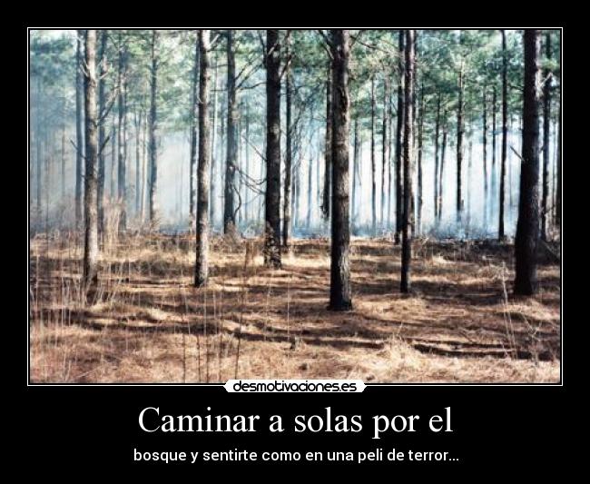 Caminar a solas por el - bosque y sentirte como en una peli de terror...