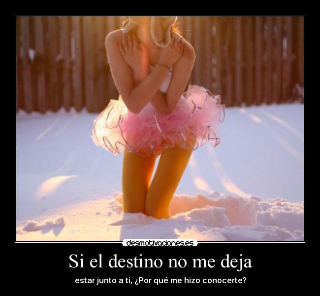 Si el destino no me deja -