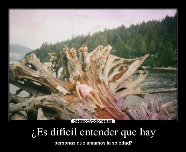 ¿Es difícil entender que hay - personas que amamos la soledad?