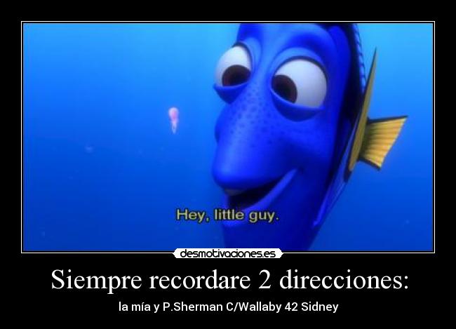 carteles direcciones dori sidney desmotivaciones