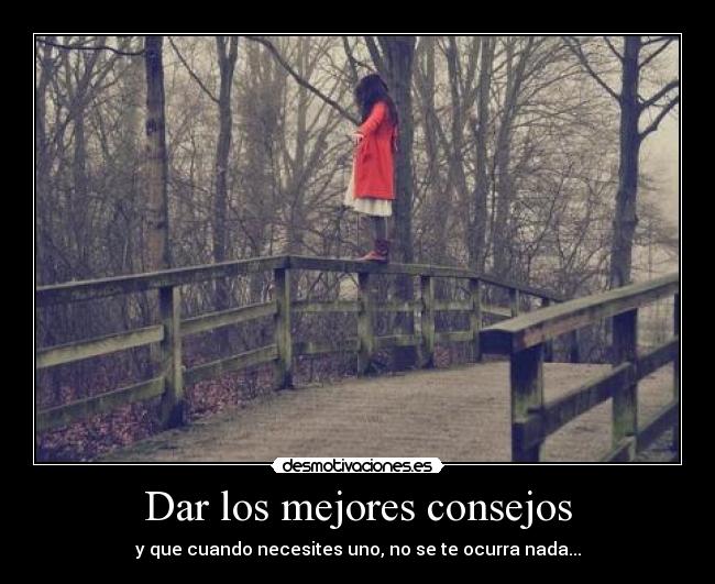 carteles yajaira desmotivaciones